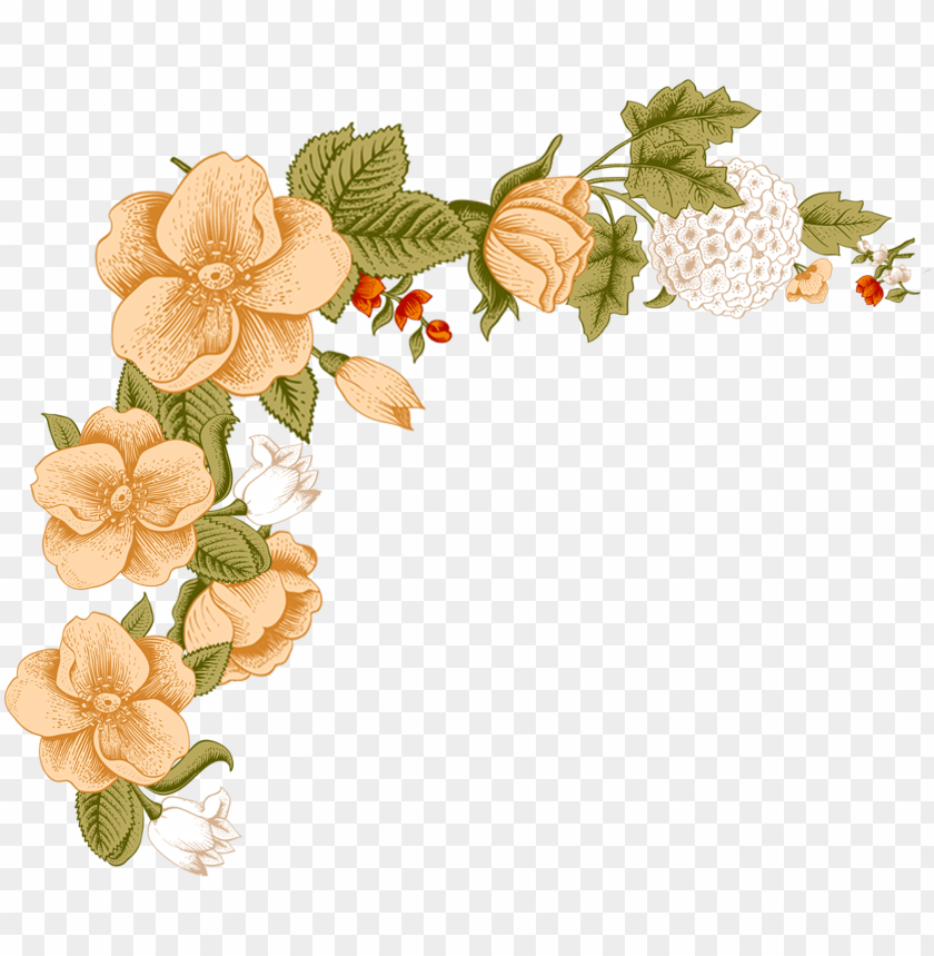 White Flower Frame Png Image With Transparent Background Toppng