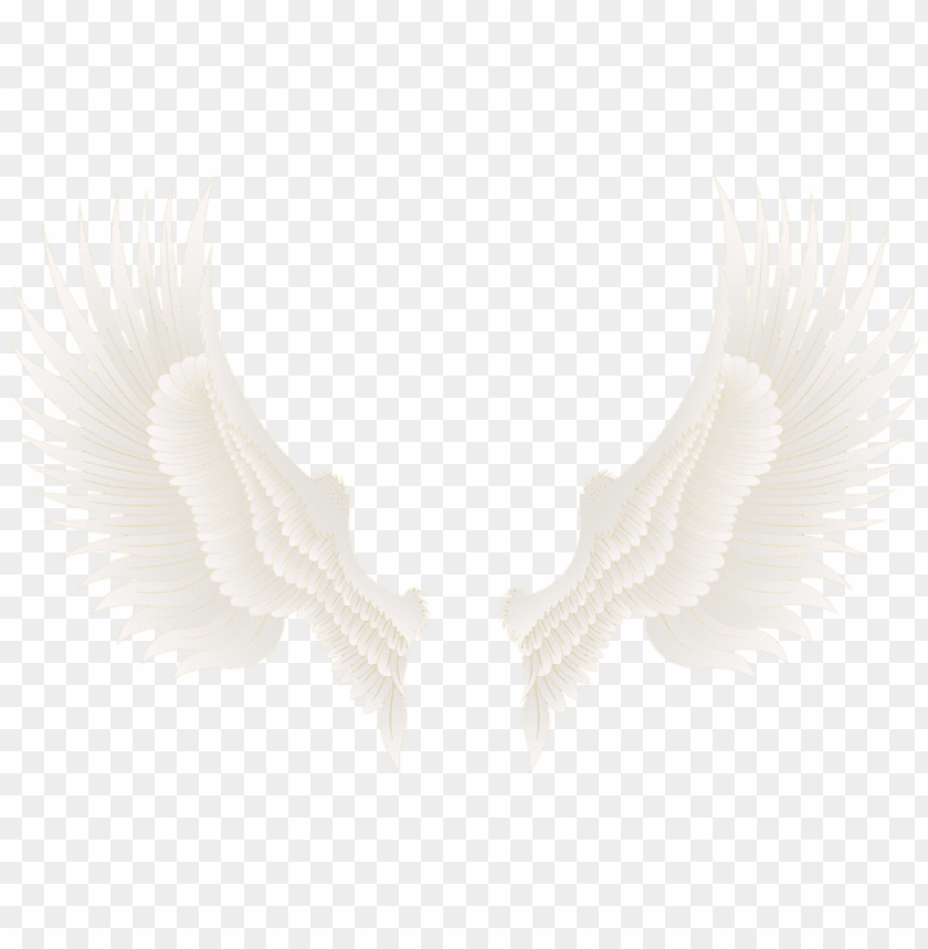 white gold wings