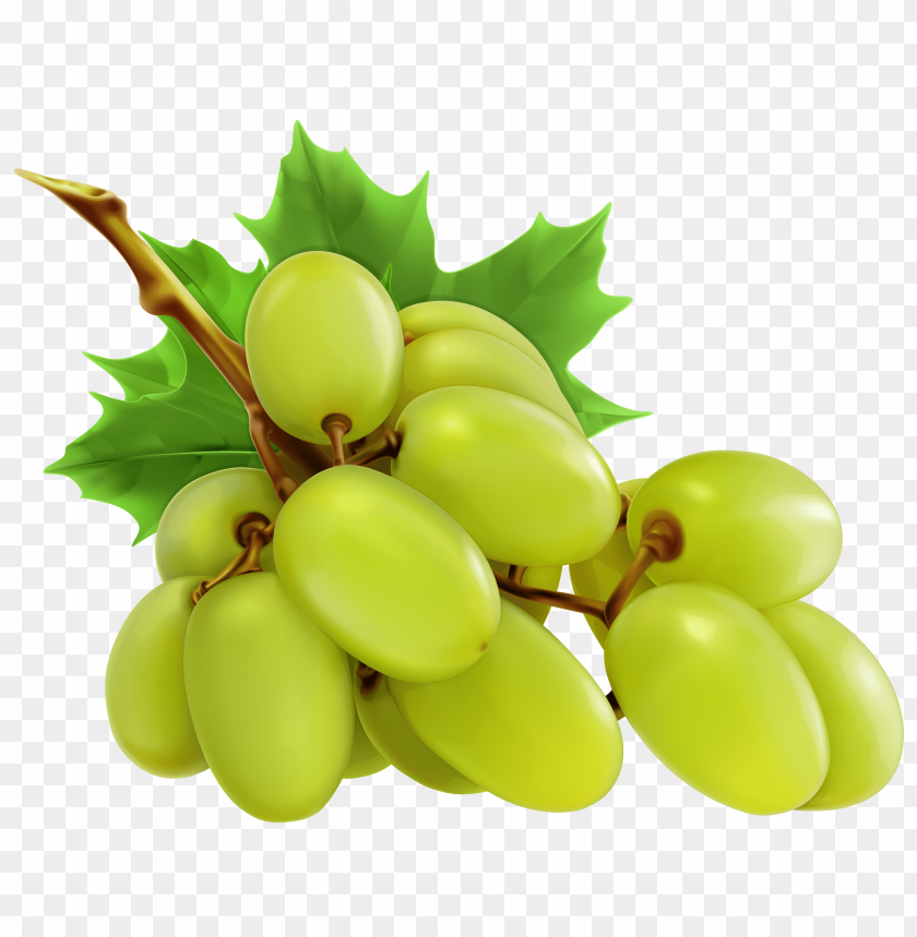 white grapes clipart png photo - 33571