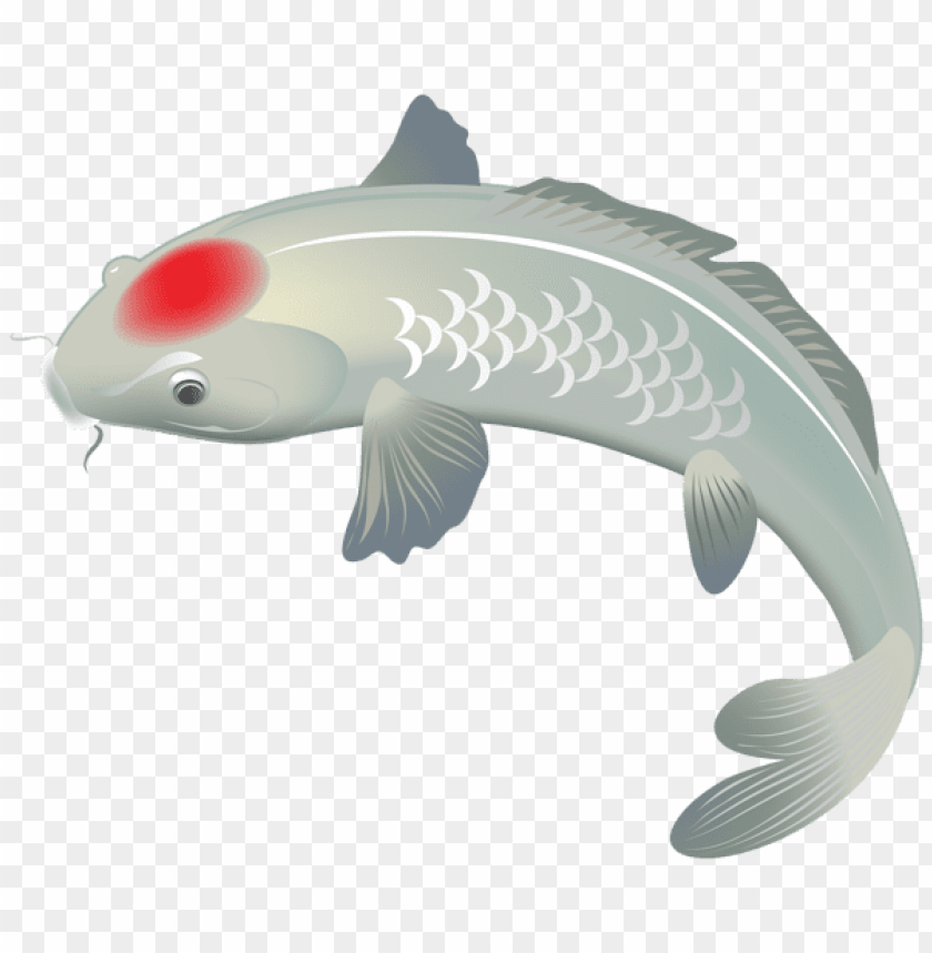 Download white koi fish clipart png photo  @toppng.com
