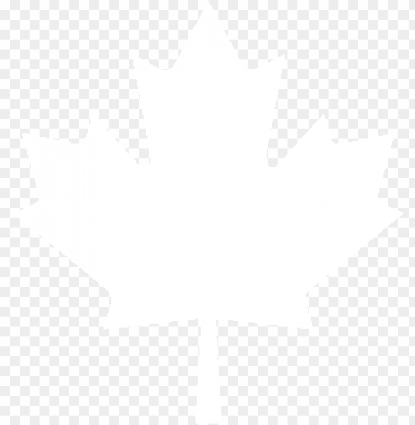 white maple leaf PNG transparent with Clear Background ID 77321
