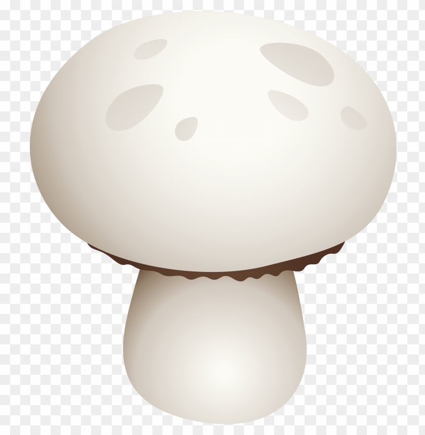 mushroom, white