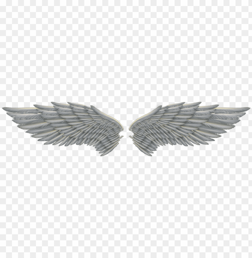 White Image Arts - Angel Wing PNG Transparent Background