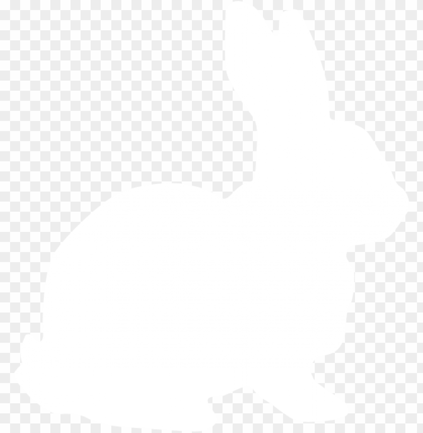 white rabbit clip art bunny icon white PNG transparent with Clear Background ID 201314