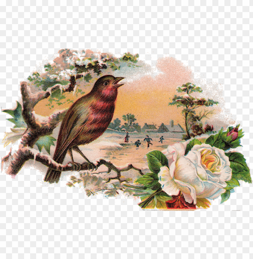 rose border, phoenix bird, twitter bird logo, rose tattoo, rose petals falling, red rose