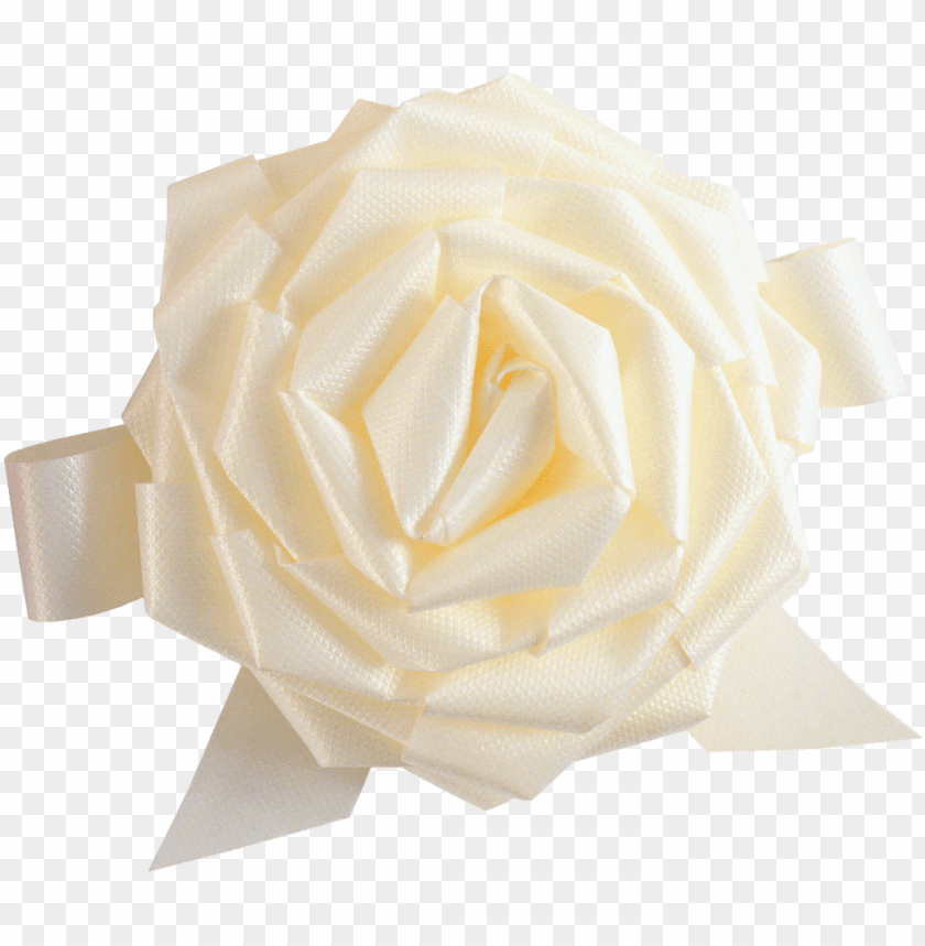 
white roses
, 
woody perennial flowering
, 
flower it bears
, 
flowers
