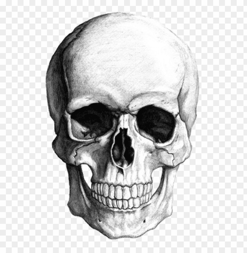 people, skulls and skeletons, white skull drawing, 