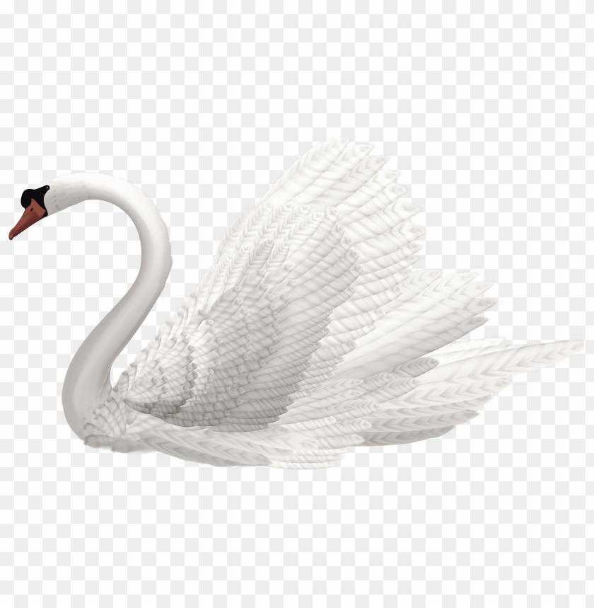 white swan image clipart png photo - 32000