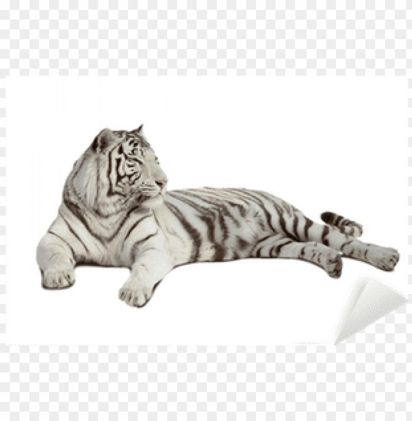 white tiger png lying white tiger - tiger PNG image with transparent background@toppng.com