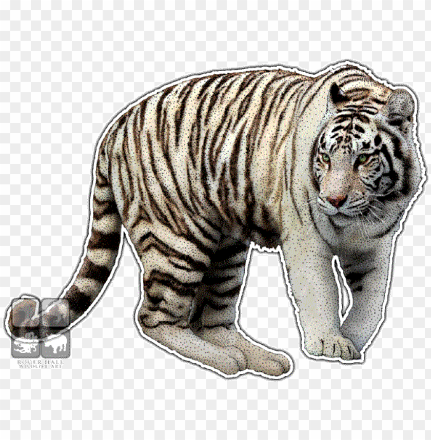 ink pen, tiger face, tiger, tiger stripes, tiger paw, tiger head