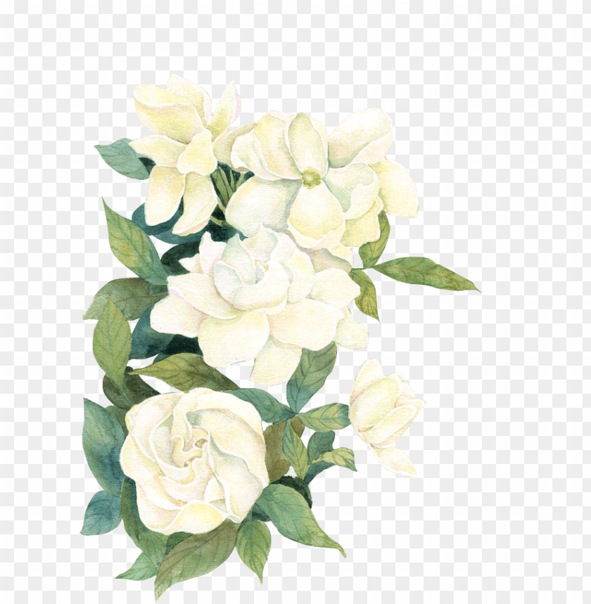 free PNG white watercolor flwoers - white watercolor flowers PNG image with transparent background PNG images transparent