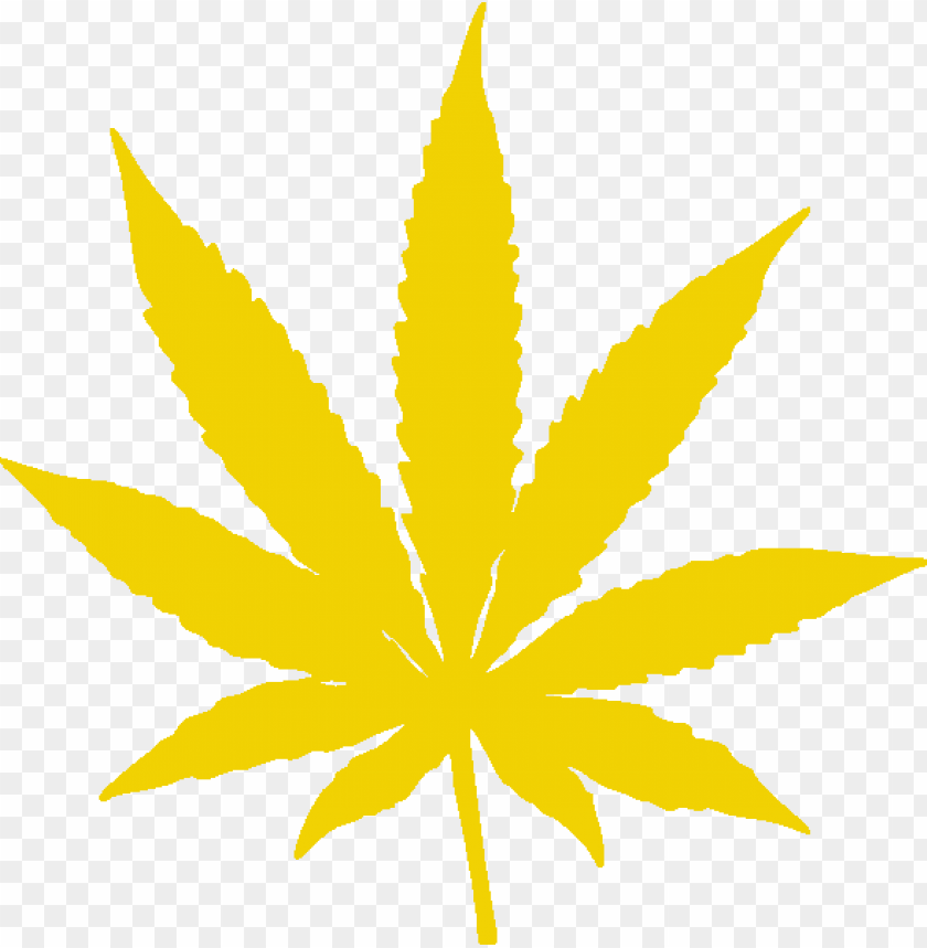 isolated, design, tree, illustration, marijuana, square, leaves