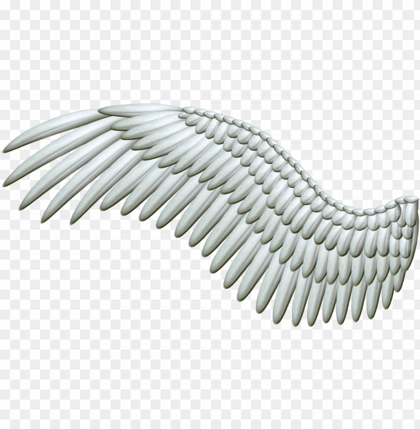 Free download, HD PNG white wings clipart png photo - 26701