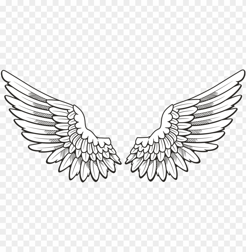 White Wings Clipart Png Photo - 26708