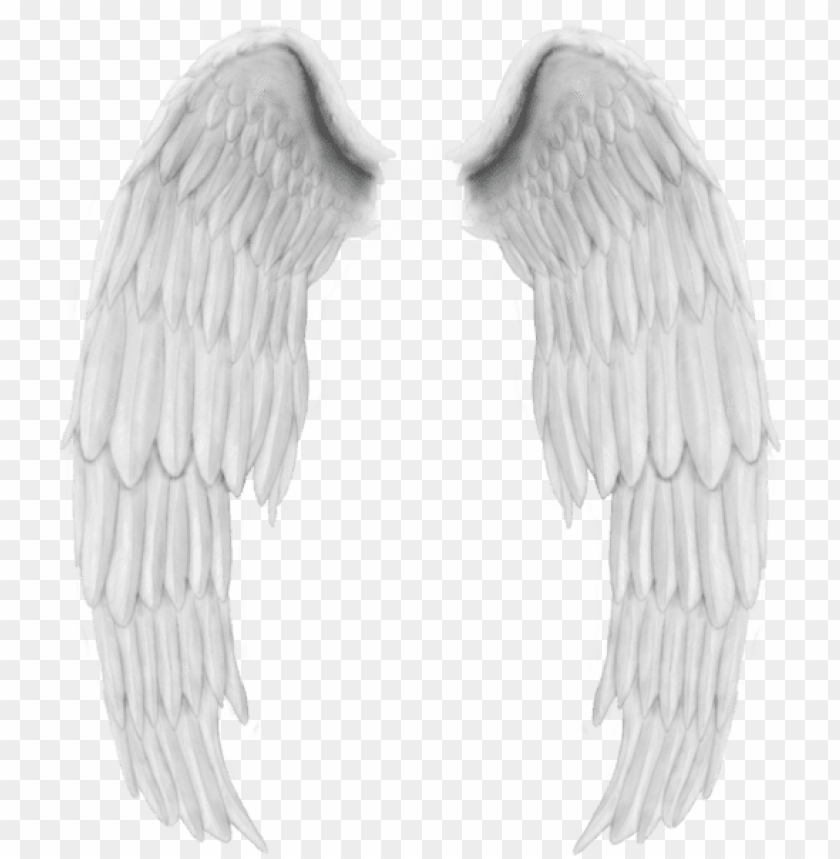 White Wings Png High Quality Image Angel Feather In PNG Image With  Transparent Background | TOPpng
