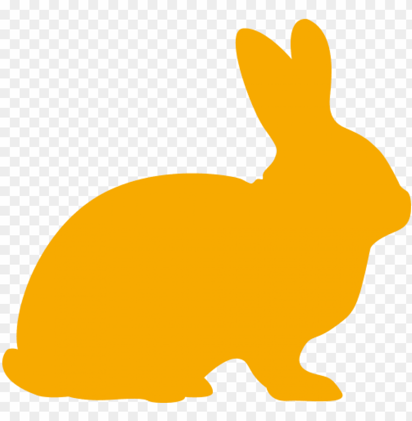 isolated, illustration, bunny, design, background, male, animal