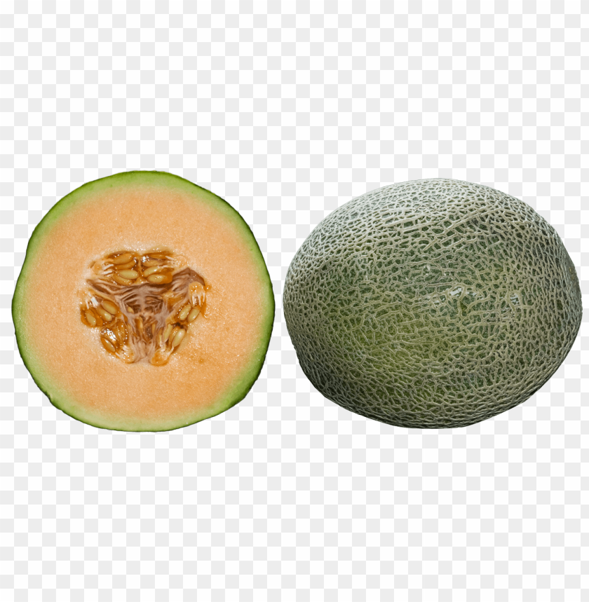 fruits, melon, cantaloupe