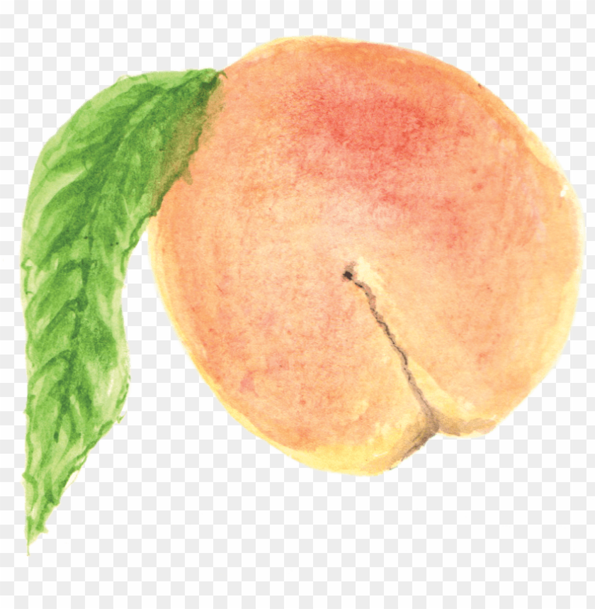 peach, princess peach