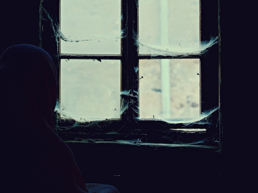 Window Cobweb Loneliness Abandoned Alone Hopelessness Png - Free PNG Images