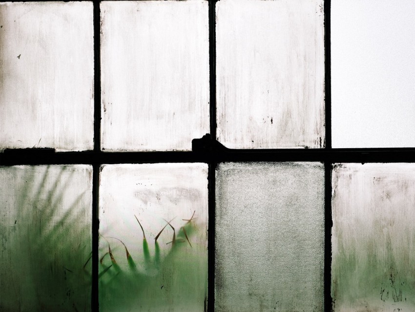 window, lattice, glass, misted, white