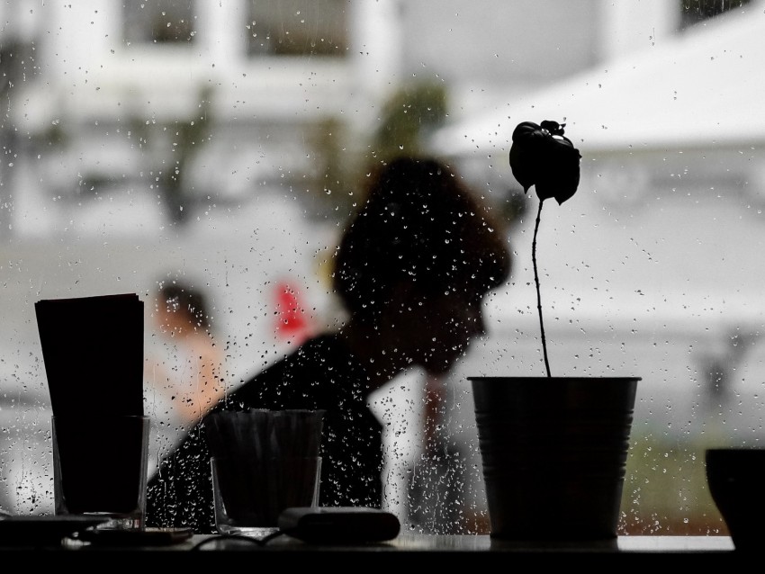 window, silhouette, dark, wet, rain