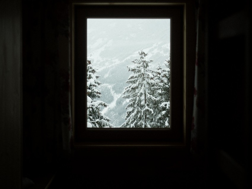 window, trees, winter, snowy