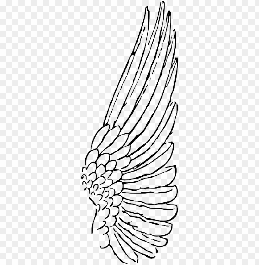 bird wings, wing, x-wing, phoenix bird, twitter bird logo, chicken wings