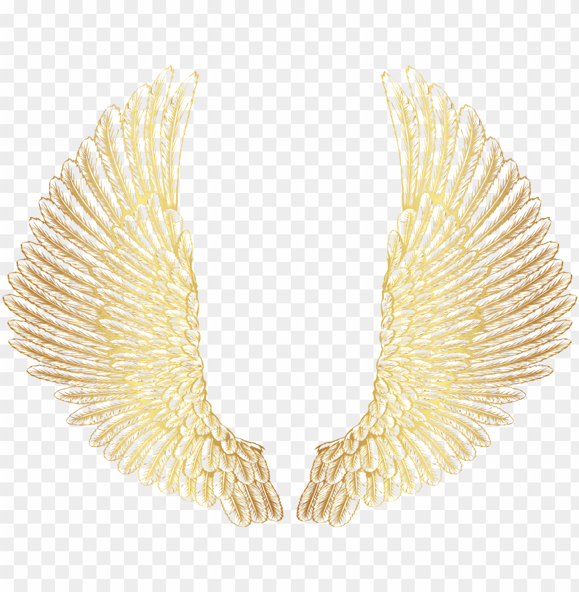 free PNG wings PNG image with transparent background PNG images transparent