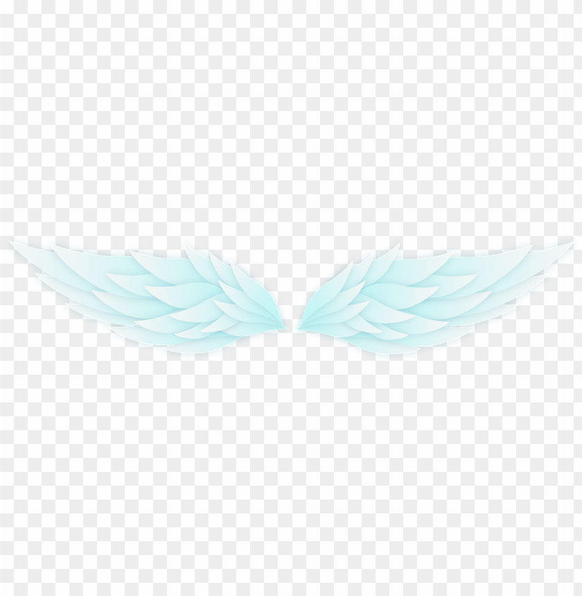 wing, wings, isolated, wing tribal, background, tribal wing, pharmacy