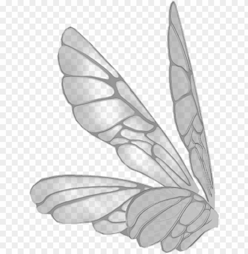 Free Download Hd Png Wings Butterflywings Butterfly Fairy Fairywings