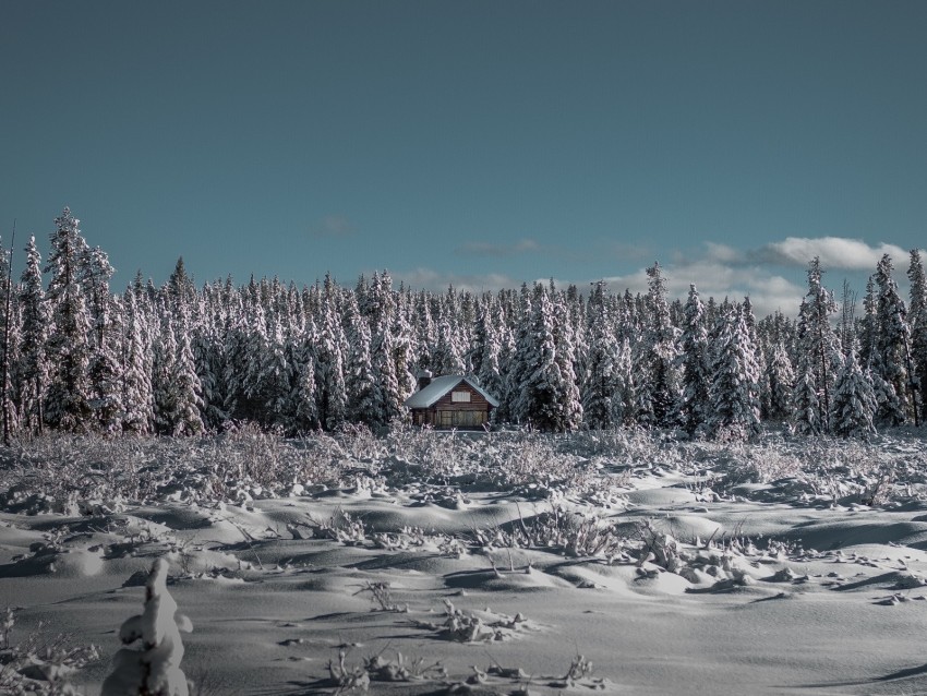 winter, house, snow, trees, horizon, sky