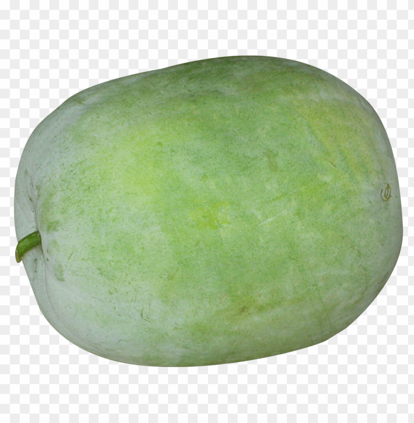 free PNG Download winter melon png images background PNG images transparent