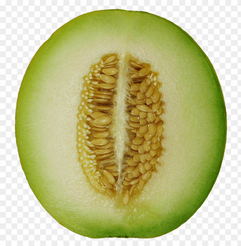 Download winter melon png images background@toppng.com