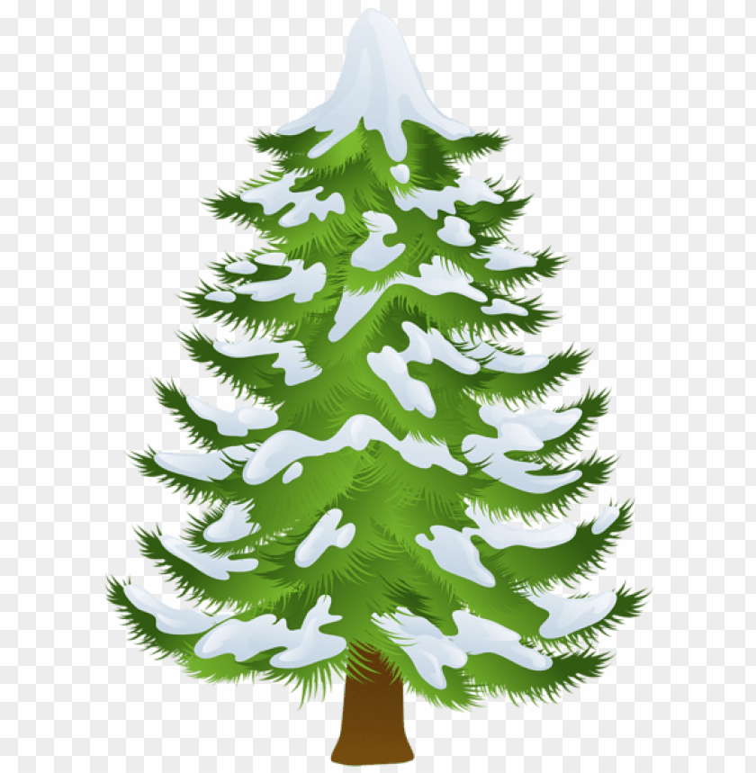 Download Winter Pine Tree Png Images Toppng
