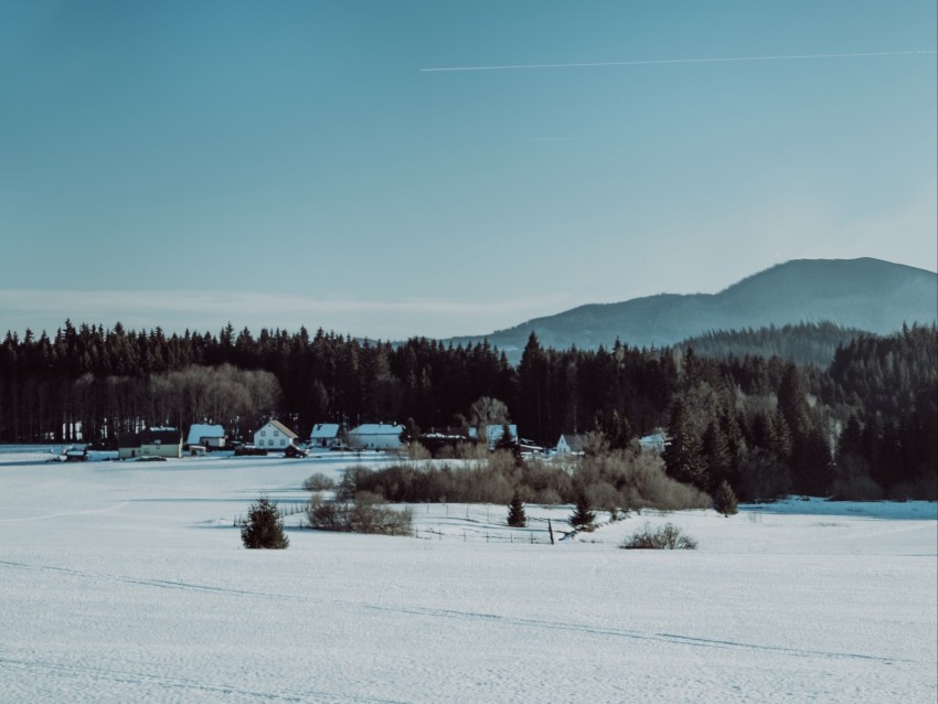 winter, snow, landscape, village, trees