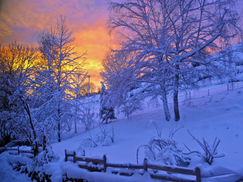 winter, snow, sunset, fence, sky, trees