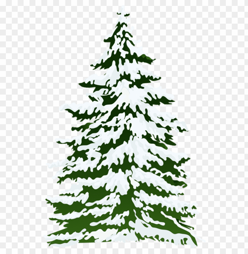 Download Winter Snowy Pine Tree Png Images Toppng