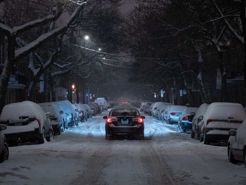 winter, street, car, movement, night, branches, trees