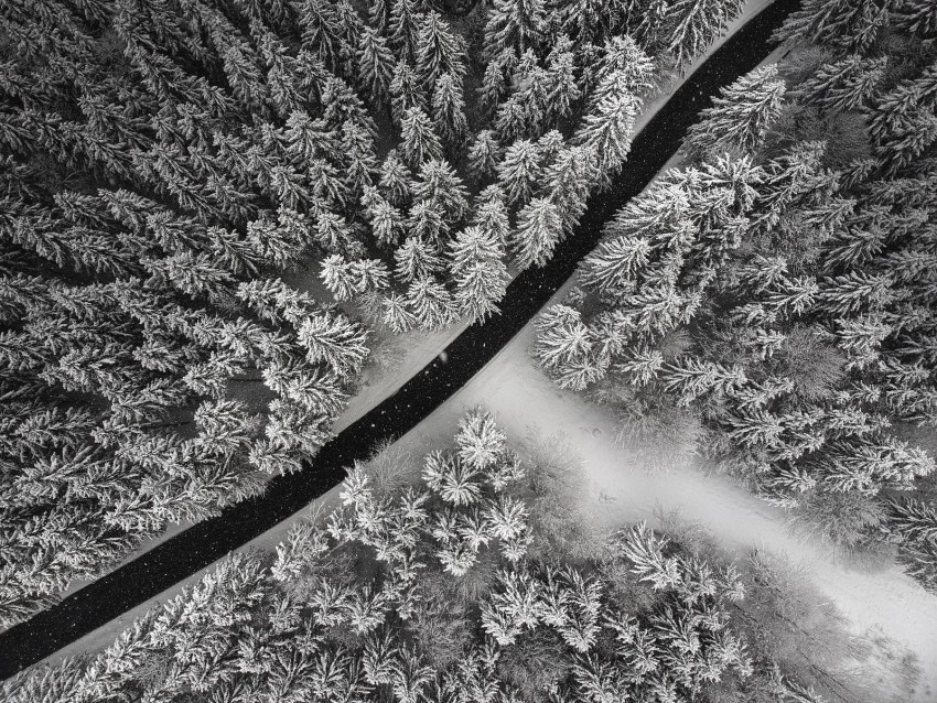 winter, trees, aerial view, snow, road, forest