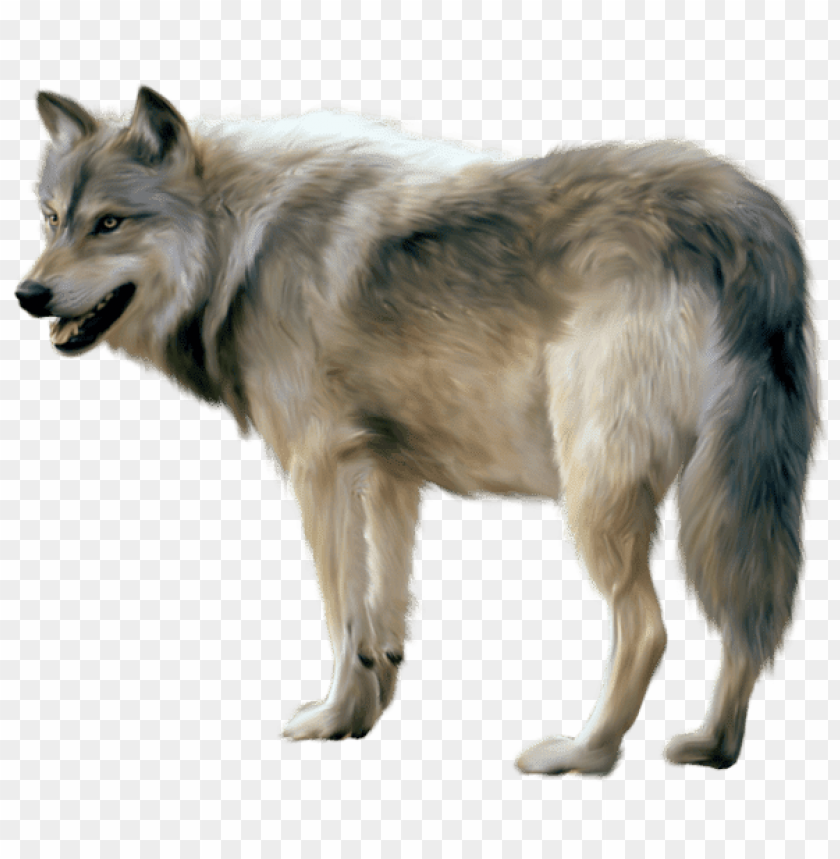 Download wolf sideview png images background | TOPpng