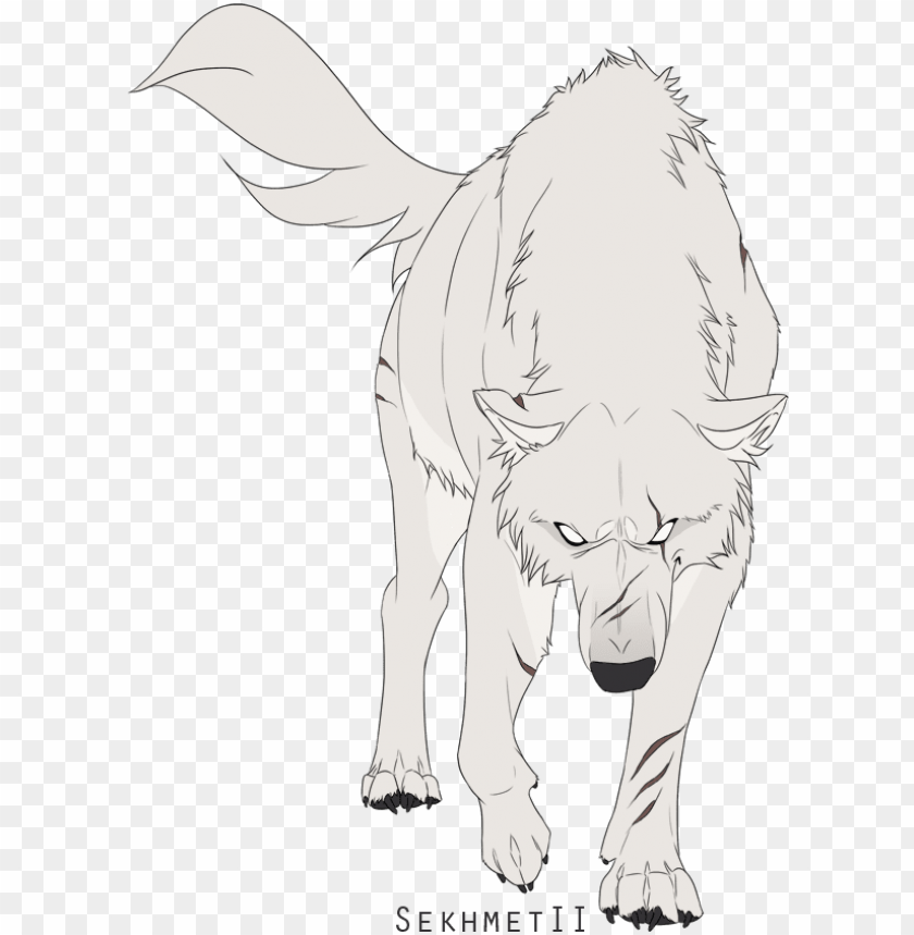 wolves / white wolf / - white wolf drawing anime PNG image with transparent  background | TOPpng