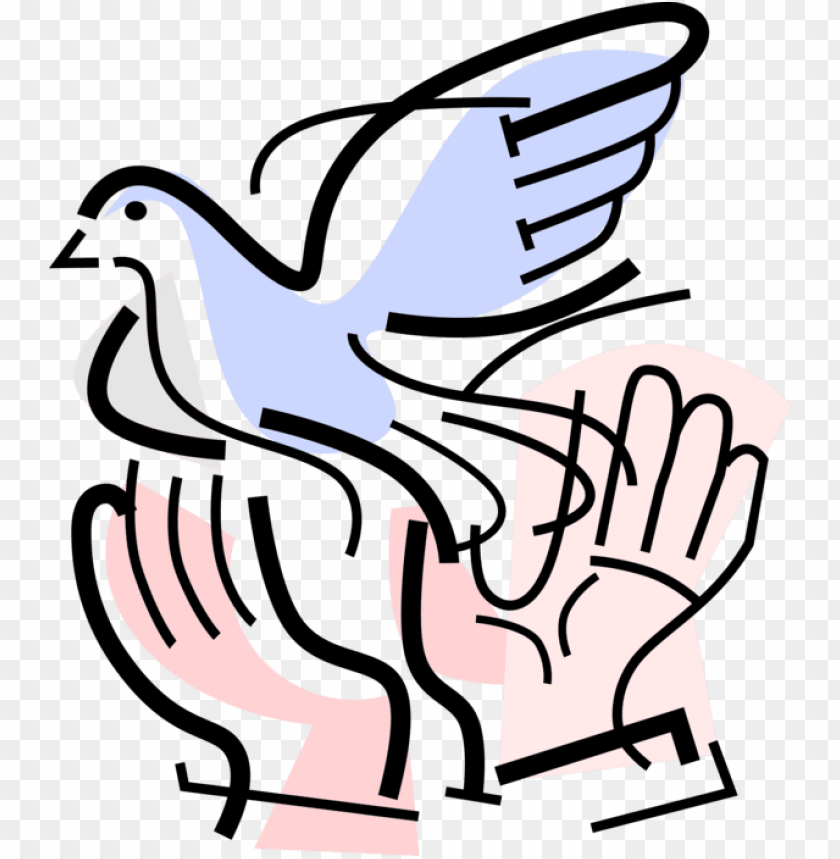 peace dove, hands up, holding hands, giving hands, white dove, shaking hands