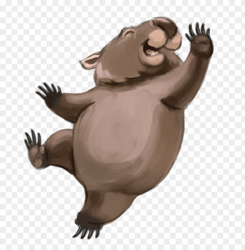 animals, wombats, wombat, 
