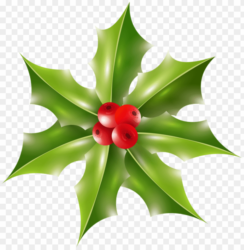 free PNG xmas holly PNG Images PNG images transparent