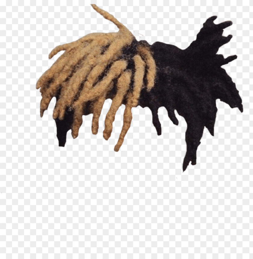 Xxxtentacion Hair Png Image With Transparent Background Toppng