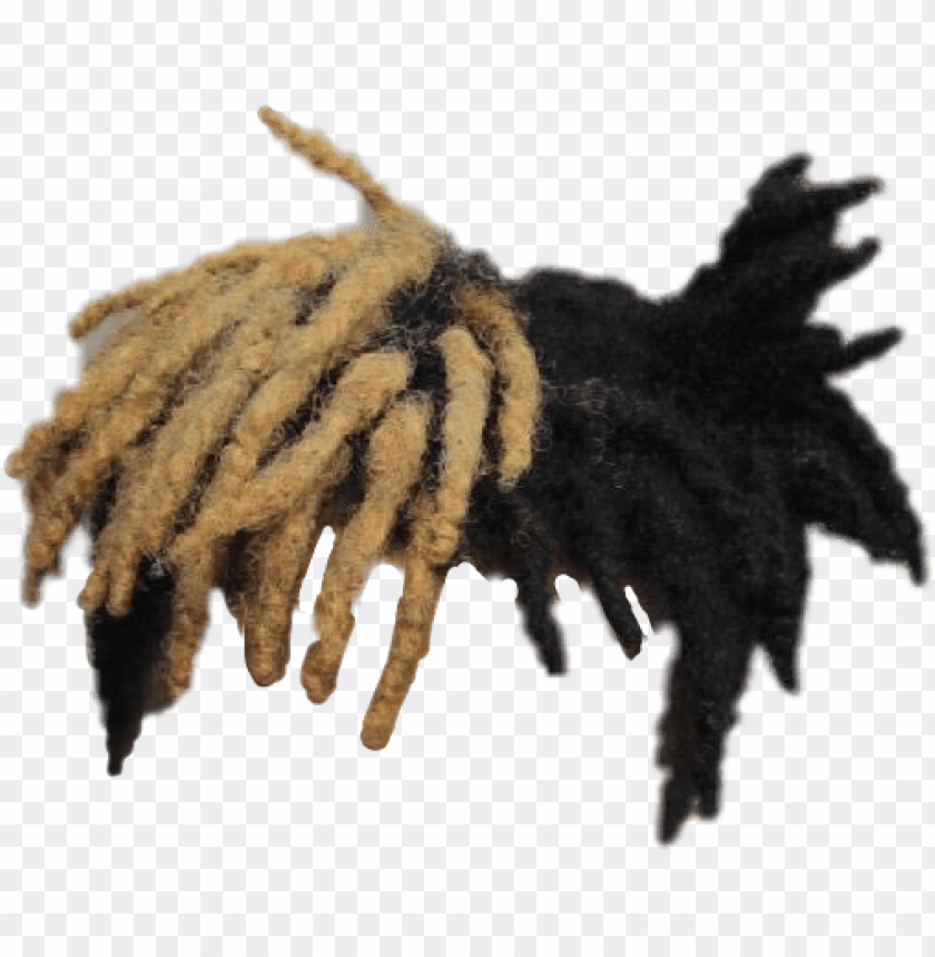 xxxtentacion hair png svg - xxxtentacion hair PNG image with transparent background@toppng.com