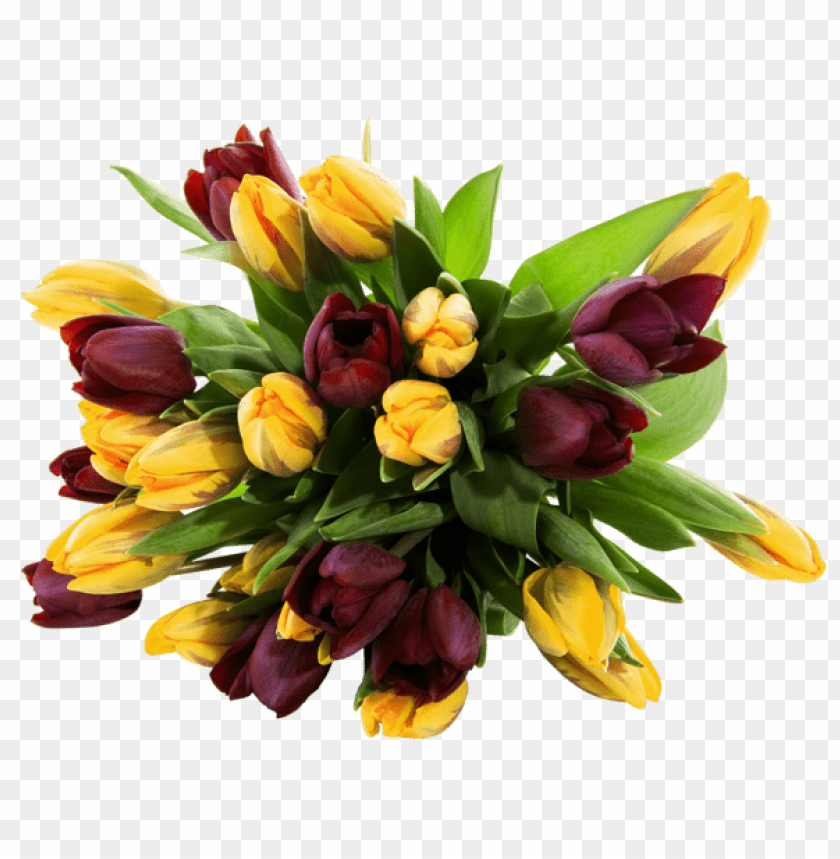 yellow and red tulipspicture