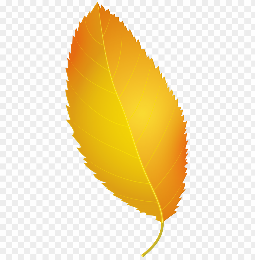 autumn, leaf, yellow