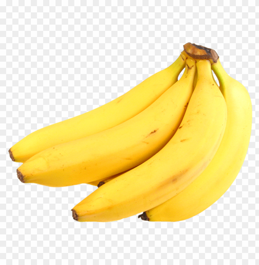 A bunch of ripe yellow bananas on a transparent background