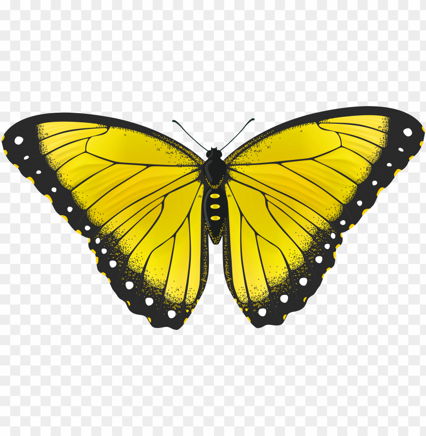 Yellow Butterflies Clipart Butterfly Transparent Png